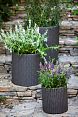 /catalog/dlya_doma/dachnaya-mebel/aksessuary-dlya-sada/komplekt-kashpo-s-m-l-cylinder-planters/ - фотография